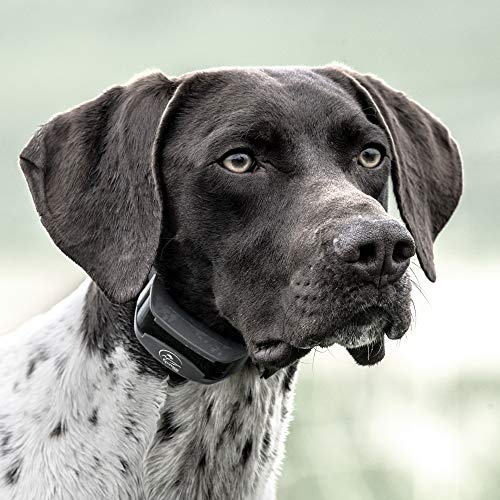 SportHunter 825X 2 Dog Remote Trainer (SportHunter 825X - 2 Collar)
