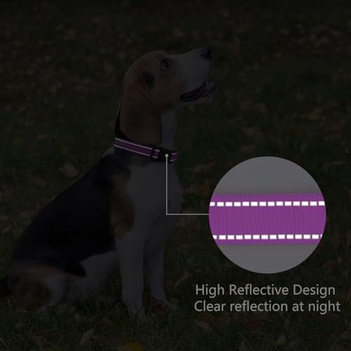 Reflective Dog Collar (Dark Magenta / S:width 5/8"neck 10.5-16")