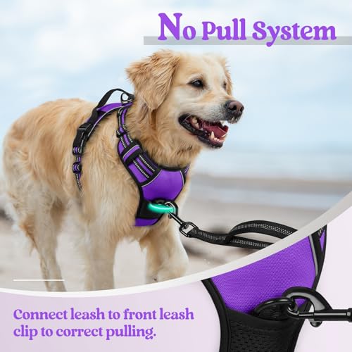 Dog Harness No Pull for Large Dogs with 2 Leash Clips (X-Large / Purple)