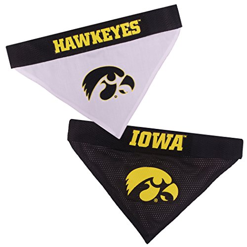 Collegiate Pet Accessories (Large/X-Large / Iowa Hawkeyes)
