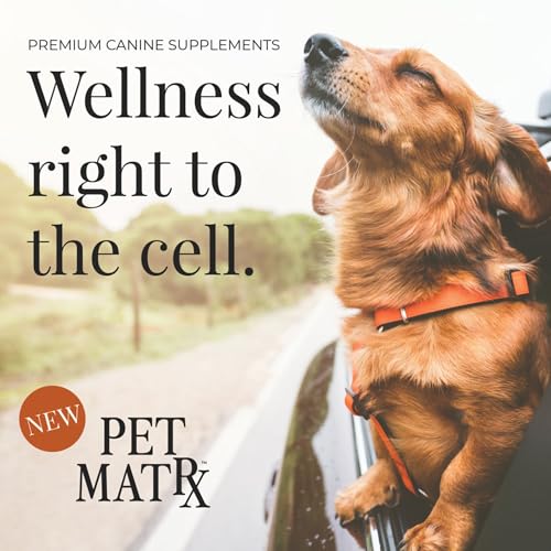 Think Cognitive and Calming Supplement with Collagen and Magnesium (Small/Medium Breeds)