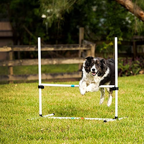 Dog Agility Bar Jumps