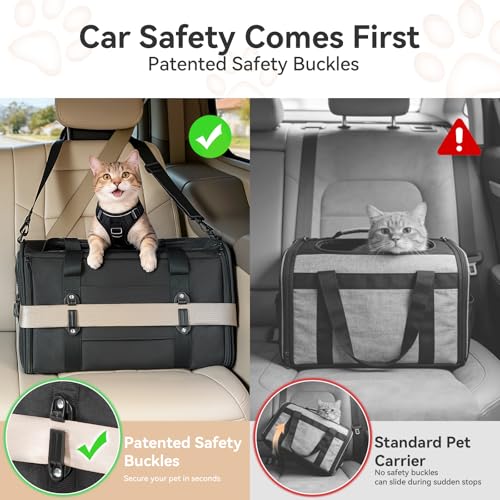 Large Cat Carrier with Patented Safety Buckles (19.0"L x 12.0"W x 12.0"H / Black)