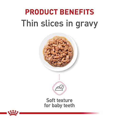 Feline Health Nutrition Kitten Thin Slices in Gravy Cat Food (3 Ounce (Pack of 12) / Thin Slices in Gravy)