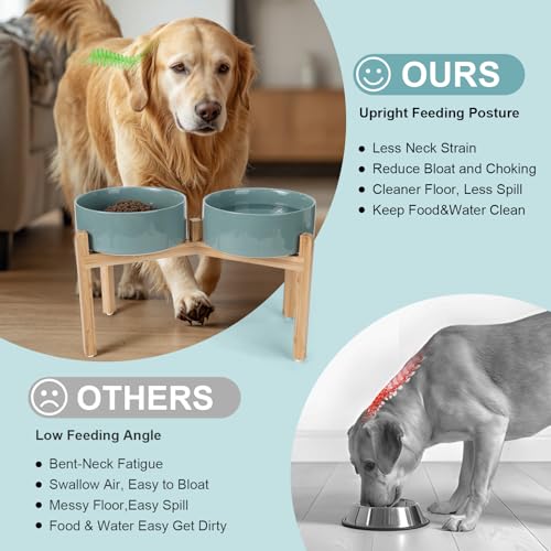 Elevated Dog Bowls Ceramic (8.3 in - 7.6 cups / Dark Green)