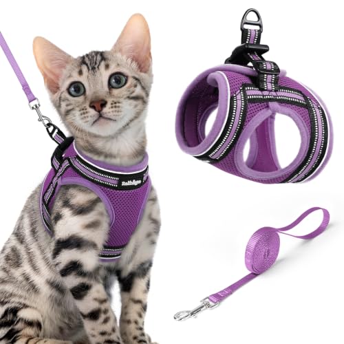 Cat Harness and Leash Set (XL / Purple-Light Purple)