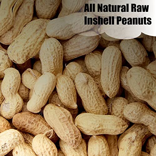 Wildlife in Shell Peanuts for Birds (4 Pound (Pack of 1) / In-Shell)