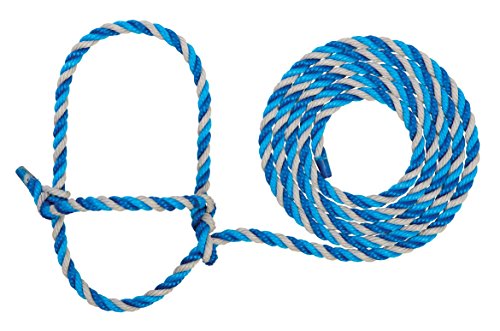Braided Poly Rope Cattle Halter (Dark Blue/Turquoise/Gray / One Size)