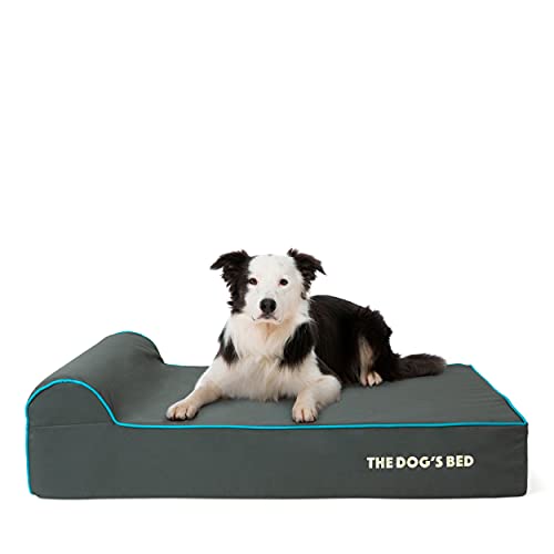 The Dog’s Bed Orthopedic Memory Foam Dog Bed with Headrest Large 6 (Grey with Blue Trim / L (40"L x 25"W x 6"Th))