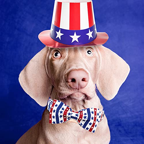 Independence Dog Collar (American Flag / X-Large (Pack of 1))