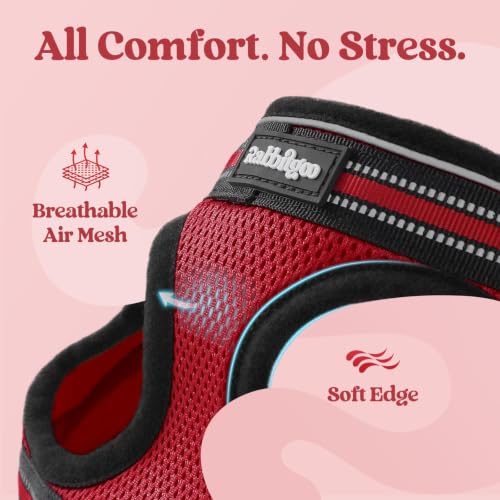 Cat Harness and Leash Set (M / Red)