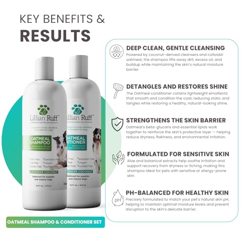 PRO Formula Deodorizing Oatmeal Dog Shampoo & Conditioner Set