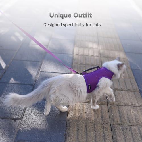 Cat Harness and Leash Set for Walking Escape Proof (Purple / Xs 2-4 lbs)