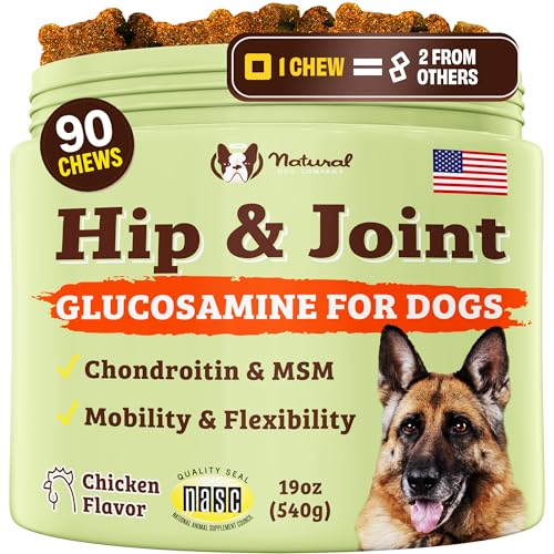 Hip & Joint Chews for Dogs (90 Count / Hip and Joint)