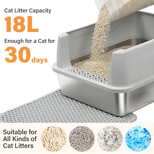 Stainless Steel Litter Box for Kitten (S-M-lid-10"H)
