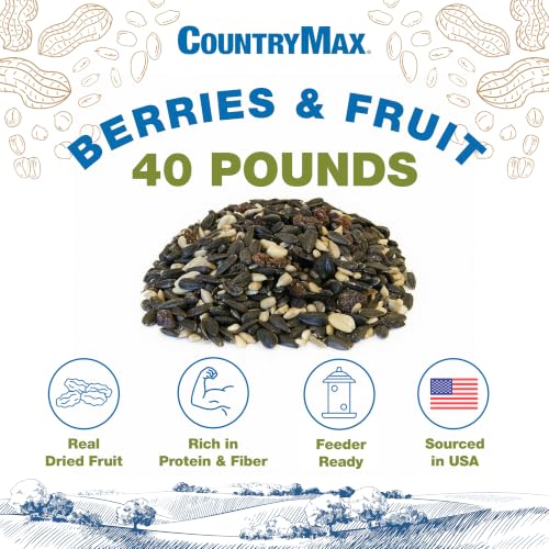 Backyard Seeds 40LB Berries 'N Fruit Bird Seed Mix (Berries & Fruit / 40 Pound (Pack of 1))