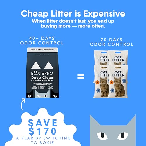 Boxie Probiotic Cat Litter (16 lb)