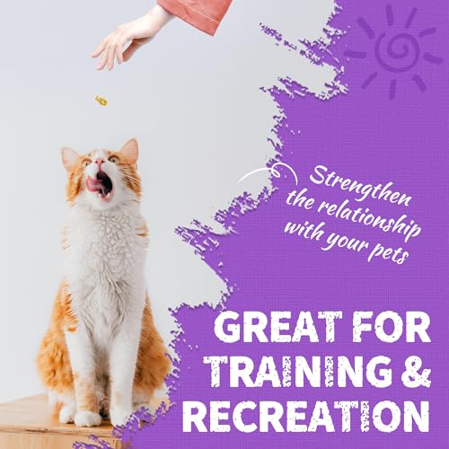 13.4 OZ Lysine Cat Treats Natural Salmon Flavor Healthy Cat Training Biscuits Snacks Lysine Dental Care Treats for Cats & Kittens