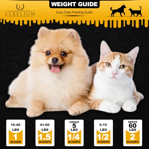Nursing & Lactation Support for Dogs & Cats