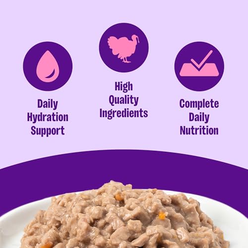 Complete Health Minced Adult Canned Wet Cat Food (3 Ounce (Pack of 24))