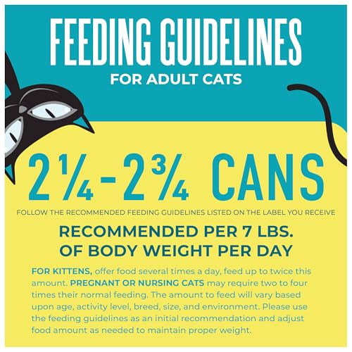 Tiki Cat Wet Cat Food Mega Pack (4.2 Pound (Pack of 1))