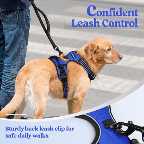 Dog Harness No Pull Medium Sized with 2 Leash Clips (Medium / Dazzling Blue)