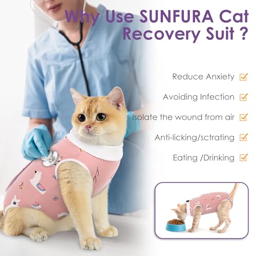 Cat Recovery Suit (Candy / Small)