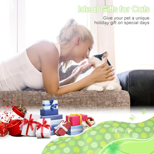 Interactive Cat Toys for Indoor Cats & Kittens (Green)