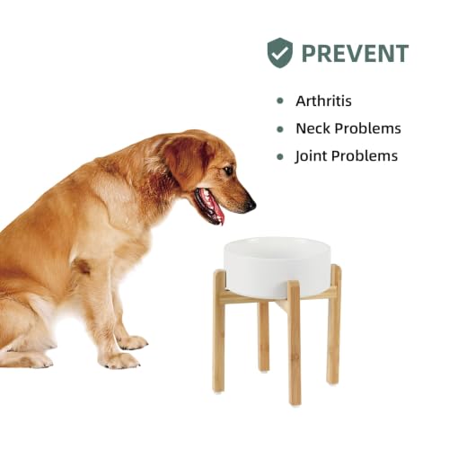 Dog Bowls Elevated (Matte White)