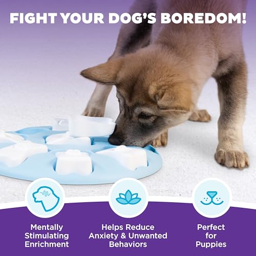 Nina Ottosson Puppy Tornado Dog Puzzle Interactive Treat Puzzle Dog Enrichment Dog Toy for Puppies (Puppy Smart (Light Blue) / 1 Count (Pack of 1))