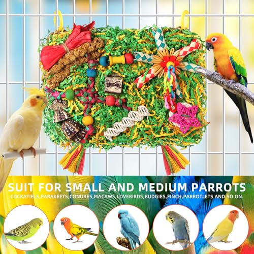 Bird Toys Parakeet Toys (Colorful with Starfruit(2PCS))