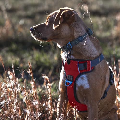 Embark No Pull Dog Harness (S / Red)