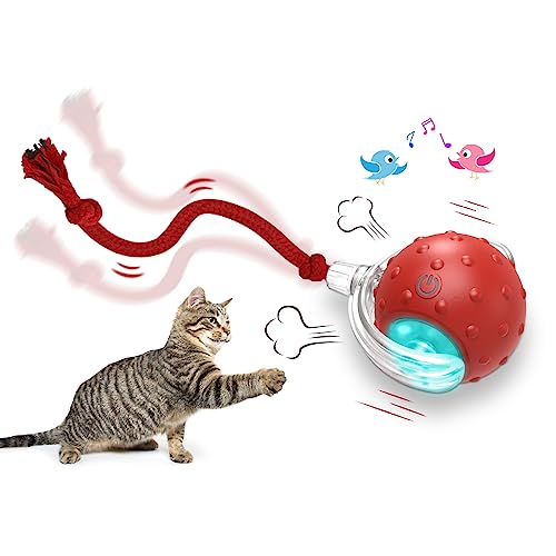 Interactive Cat Toys Ball for Indoor Cats Fast Rolling on Carpet