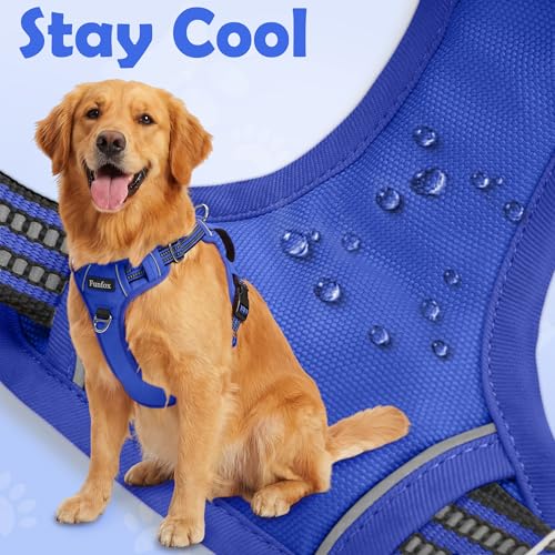 Dog Harness No Pull (Blue / Large)