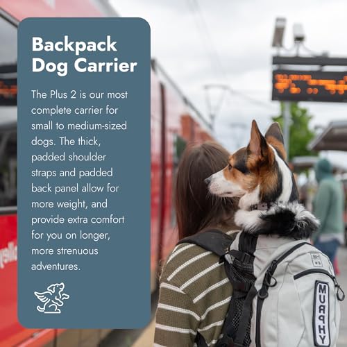 Plus 2 - Small, Light Grey - Ideal for Dogs 13-16” Long - Adjustable, Backpack-Style Carrier with Multi-Functional Storage Pack, Thick Shoulder Straps & Padded Back Panel (Light Grey / 16.9"L x 13.0"W x 17.0"H)