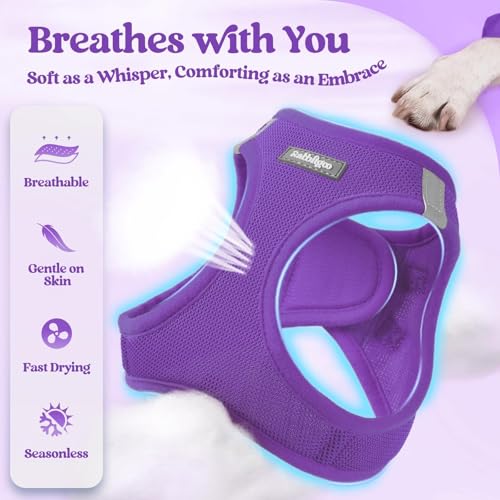 Dog Harness Medium Sized and Leash Set (Purple / L (chest: 18.2 - 20.5"))