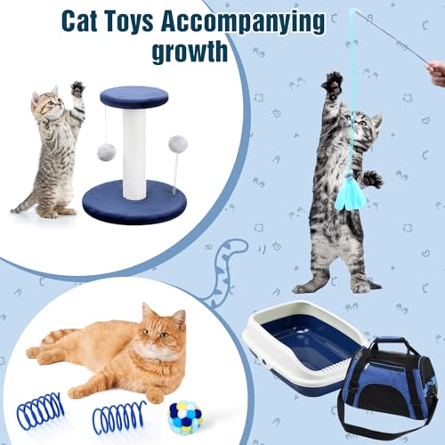 10 Pcs Kitten Starter Kit for Indoor (Classic / Medium / Dark Blue)