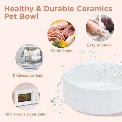 Elevated Dog Bowls Ceramic (5.1 in - 1.7 cups / White - Skull)
