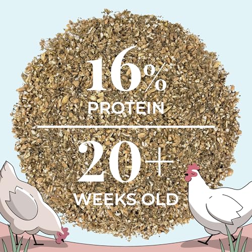 Organic Chicken Feed (Mash / 2 Pound (Pack of 1))