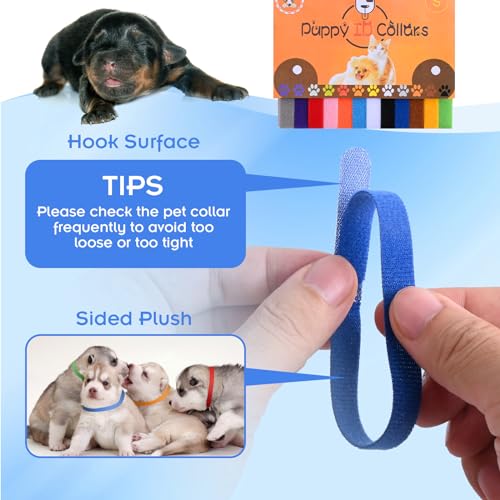 Puppy Kitten Whelping Kit