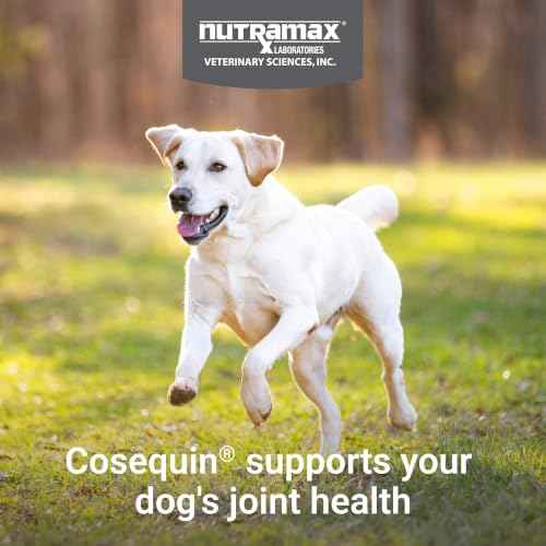 Nutramax Cosequin Joint Supplement for Dogs (150 Count / MSM and HA)