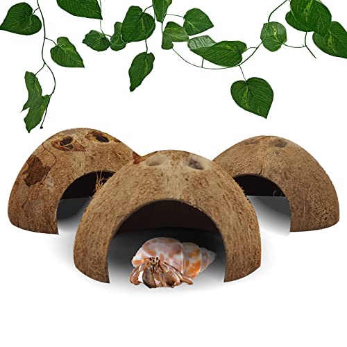 Reptile Hideouts Natural Coconut Shells Hut Hermit Crab Climbing Toys Gecko Hide Cave Lizard Habitat Decor Plant Leaves Decoration for Spider Snake Chameleon (3 Pack Natural)