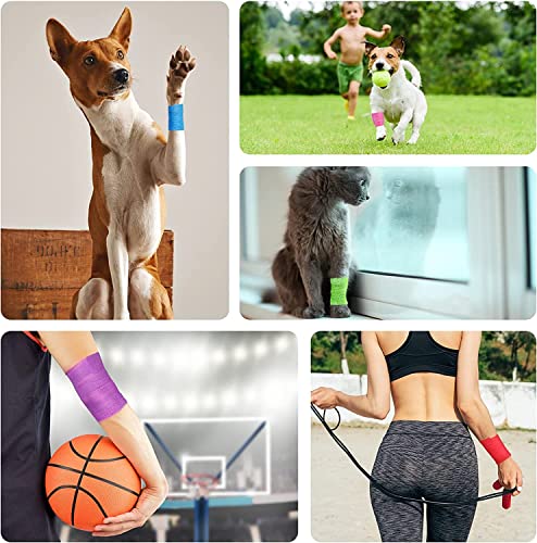 Self Adhesive Bandage Wrap