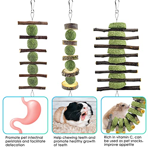 Bunny Chew Toys (3 Pcs)