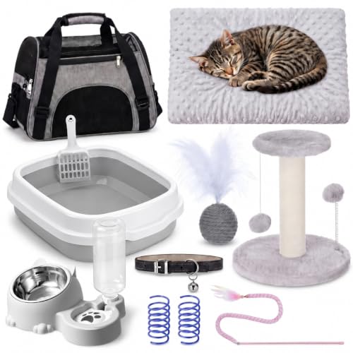 10 Pcs Kitten Starter Kit for Indoor (Cute / Medium / Gray)
