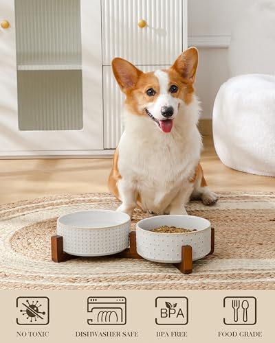 Dog Bowl Set Ceramic Bowls with Walnut Wood Stand (Rhombic+Polka Dots / 4 Cups)