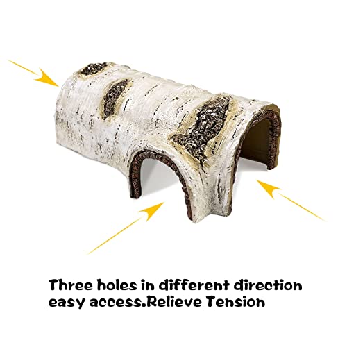 Reptile Hide Caves Simulation Tree Hideout Snake Hide