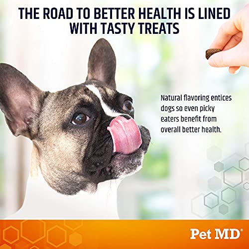 Salmon Oil Chews for Dogs (120ct)
