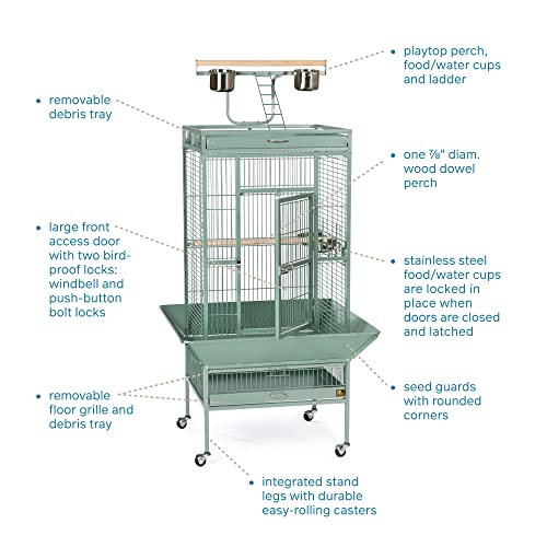 Wrought Iron Select Bird Cage Seed Guard (Sage Green / 24.0"L x 20.0"W x 60.0"H)