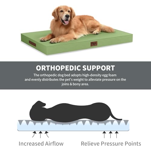 Outdoor Waterproof Orthopedic Dog Bed for Large Dogs (Light Green / 36.0"L x 27.0"W x 3.0"Th)
